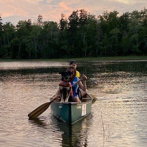 Meet your Posher, Amelia